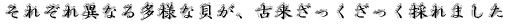 ꂼقȂ鑽lȊLA×̂܂