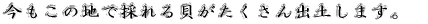 ̒nō̂Loy܂B