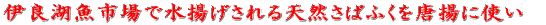 ɗǌ΋sŐgVR΂ӂ𓂗gɎg 