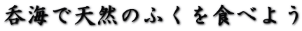 ۊCœVR̂ӂHׂ悤