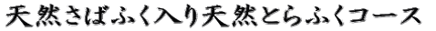 VR΂ӂVRƂӂR[X