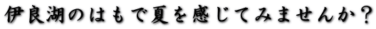 ɗǌ΂̂͂ŉĂĂ݂܂񂩁H