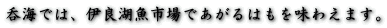 ۊCł́Aɗǌ΋sł͂𖡂킦܂B